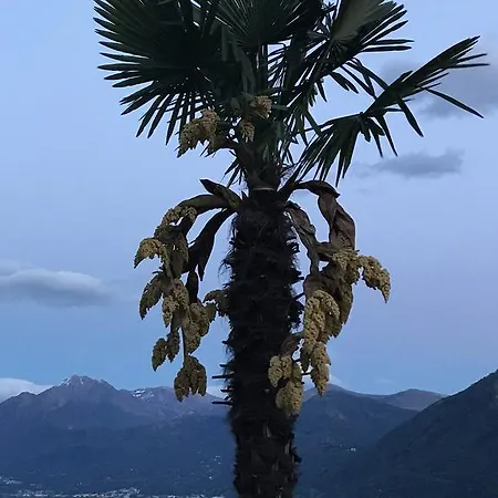Monteverde Βίλα